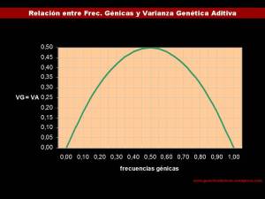 Relación entre frecuencias génicas y variabilidad